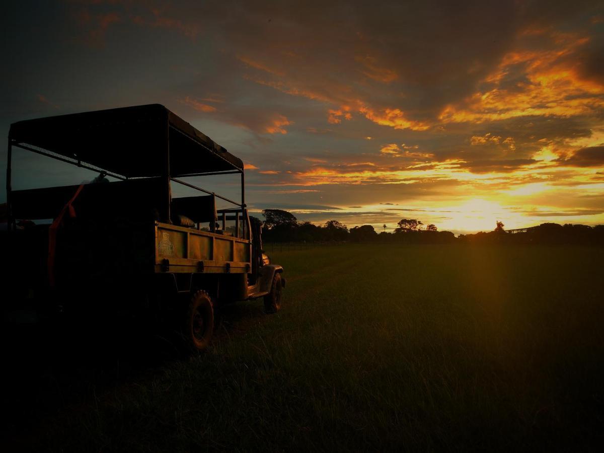 Pousada Fazenda Xaraes Todos os Santos Екстер'єр фото