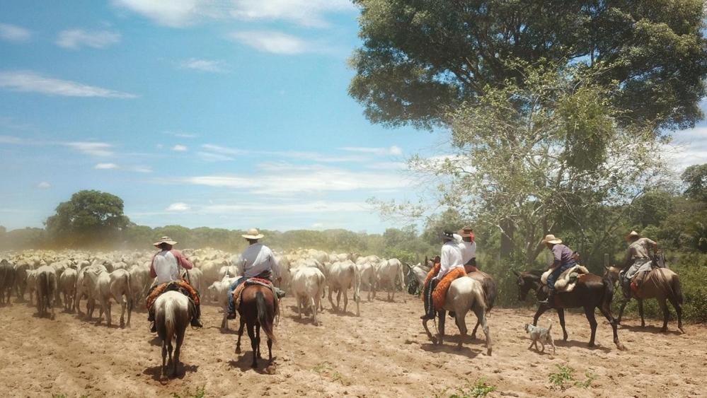 Pousada Fazenda Xaraes Todos os Santos Екстер'єр фото