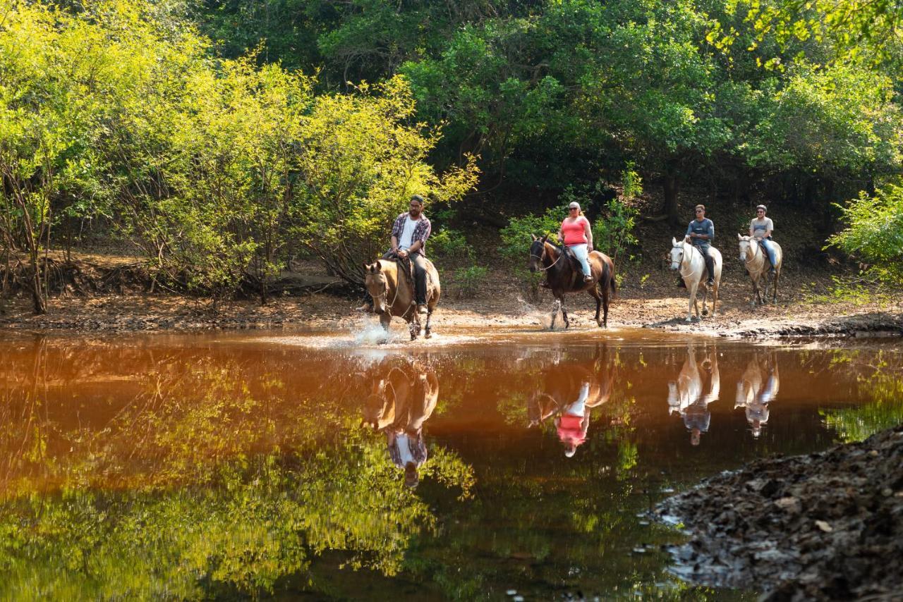 Pousada Fazenda Xaraes Todos os Santos Екстер'єр фото