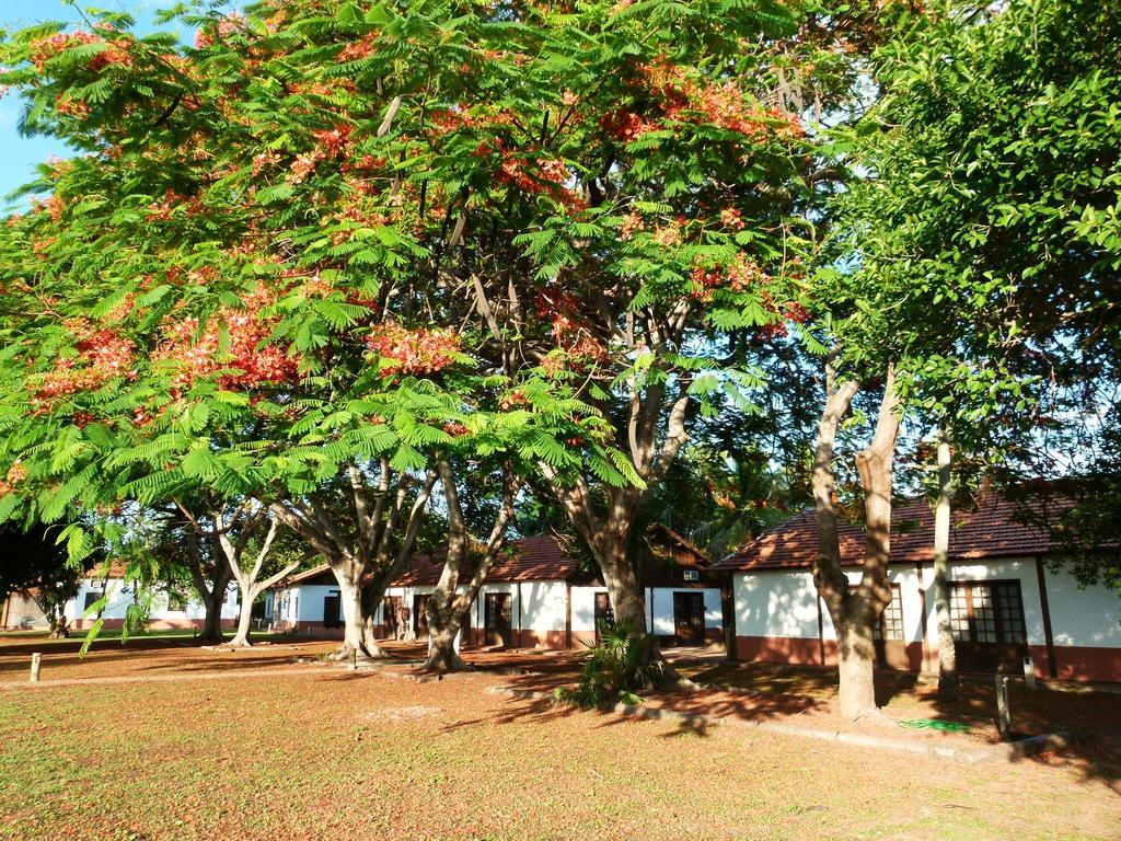 Pousada Fazenda Xaraes Todos os Santos Екстер'єр фото