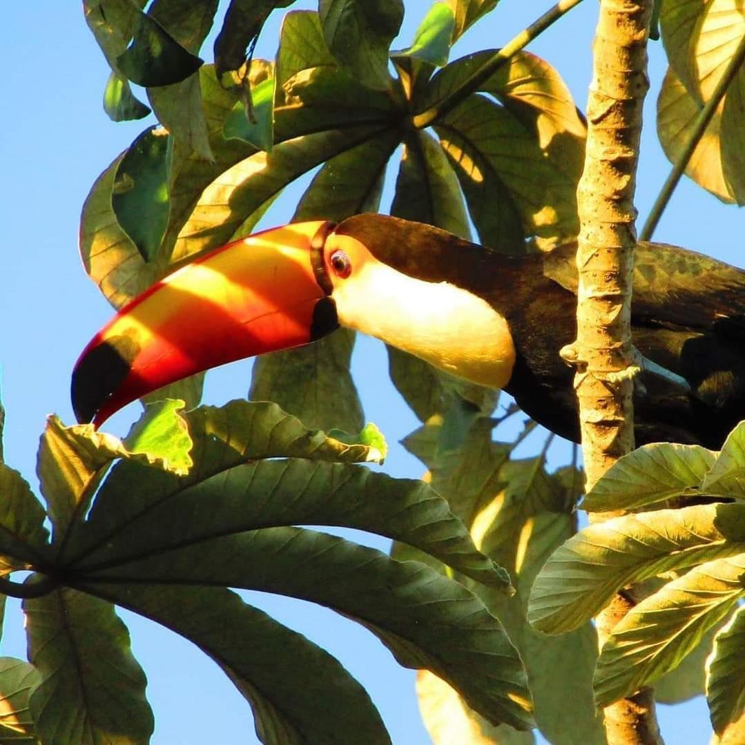 Pousada Fazenda Xaraes Todos os Santos Екстер'єр фото