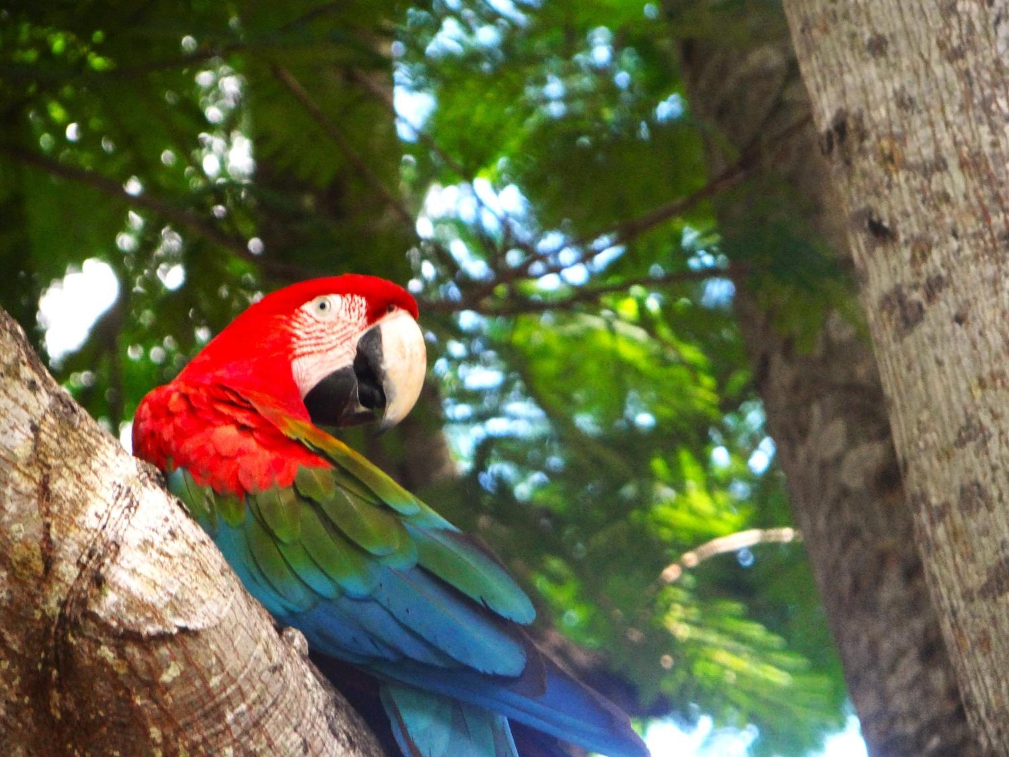 Pousada Fazenda Xaraes Todos os Santos Екстер'єр фото