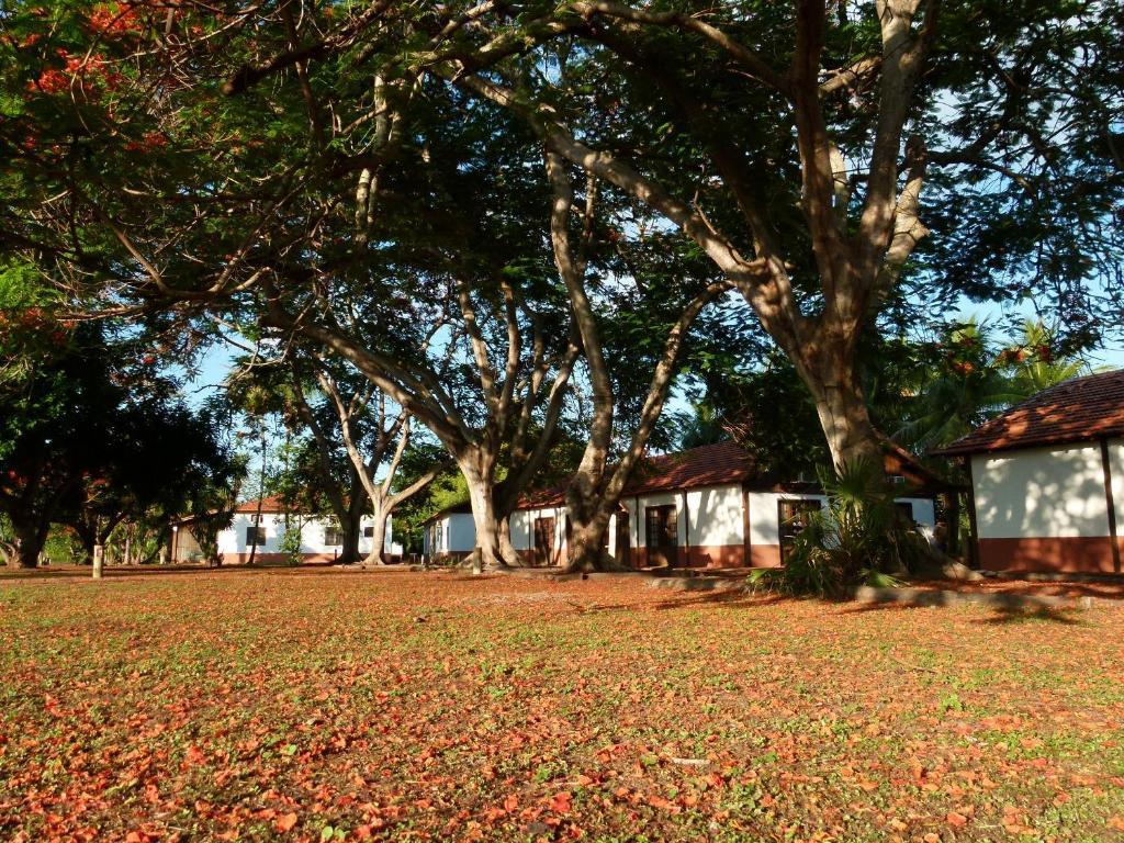Pousada Fazenda Xaraes Todos os Santos Екстер'єр фото